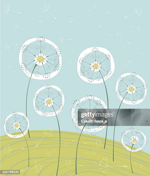ilustraciones, imágenes clip art, dibujos animados e iconos de stock de dandelions en summer meadow - diente de león