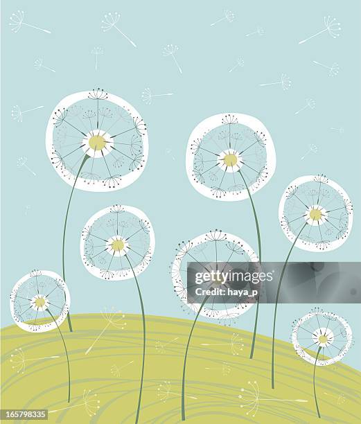 dandelions on summer meadow - dandelion stock illustrations