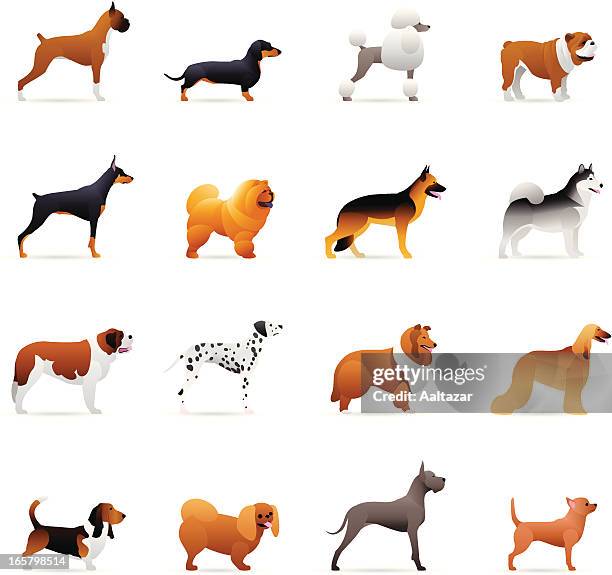 illustrazioni stock, clip art, cartoni animati e icone di tendenza di colore icone-cani - pastore tedesco