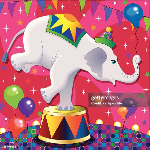 bildbanksillustrationer, clip art samt tecknat material och ikoner med white circus elephant doing a trick - white elephant