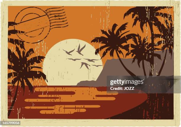 ilustraciones, imágenes clip art, dibujos animados e iconos de stock de hawaiian vintage postal - arrecife fenómeno natural