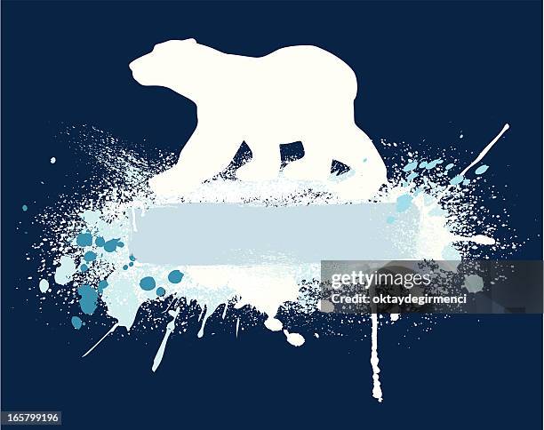 polar bear banner - bear white background stock illustrations
