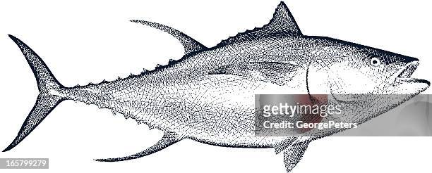 yellow fin tuna - yellow fin tuna fish stock illustrations