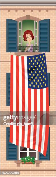 usa flag and window - adobe stock illustrations