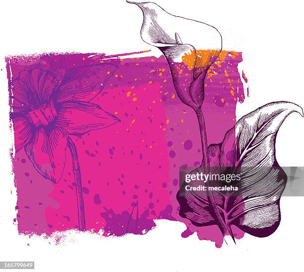 Illustrations, cliparts, dessins animés et icônes de Aging Rockers ...