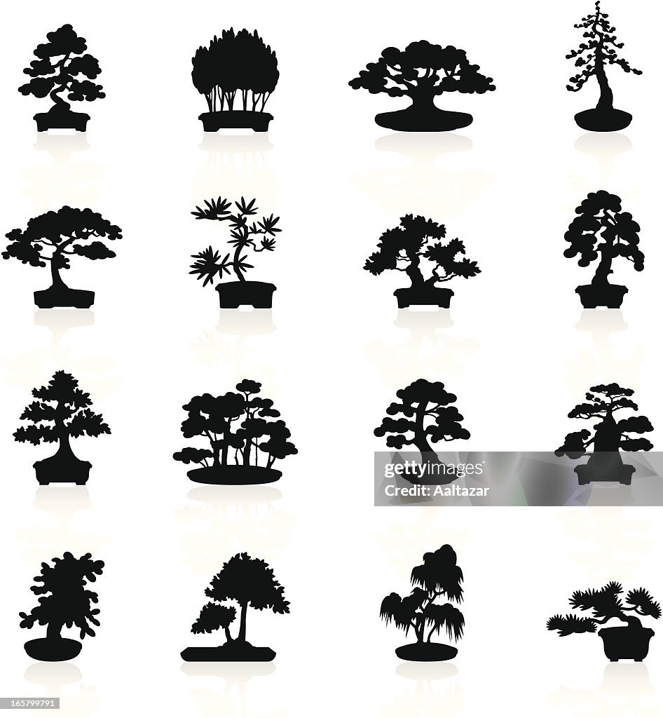 Black Symbols - Bonsai Trees