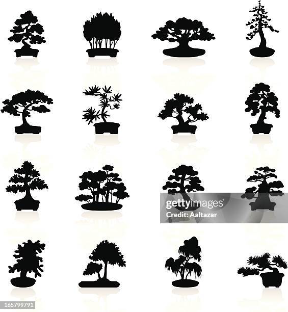 black symbols - bonsai trees - oak tree silhouette stock illustrations