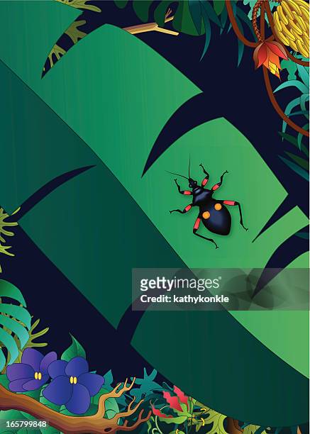 ilustraciones, imágenes clip art, dibujos animados e iconos de stock de insecto asesino en la selva - kissing bug