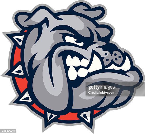 bulldog mascot head - animal teeth stock illustrations