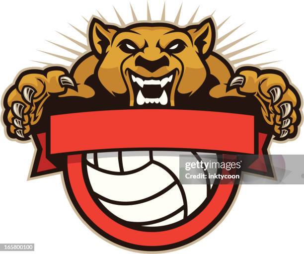 cougar mascot volleyball - puma stock illustrations