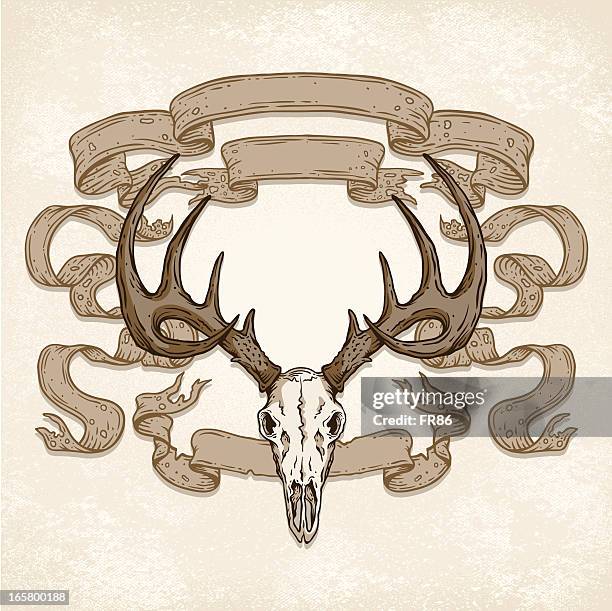 deer skull banners - deer skull stock illustrations