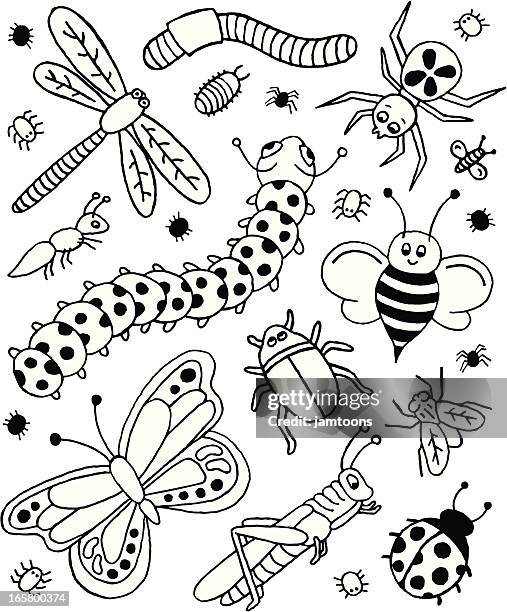 käfer und kritzeleien - ladybug stock-grafiken, -clipart, -cartoons und -symbole