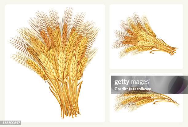 wheat set - wheat stock illustrations