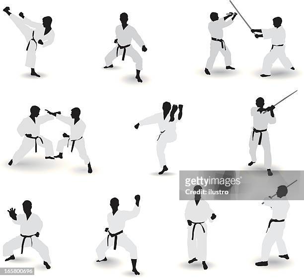 bekannte martial arts - karate stock-grafiken, -clipart, -cartoons und -symbole