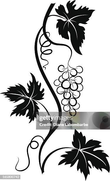 Decorative Stylized Grapevine With Grape Bunch And Three Leaves