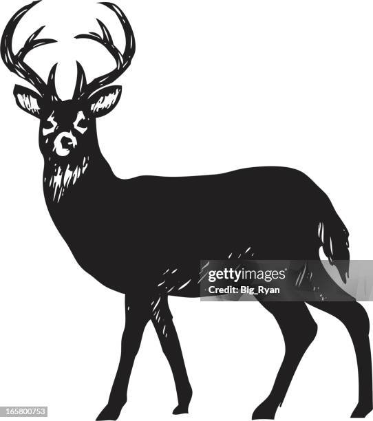 261 Cartoon Buck Stock Photos, High-Res Pictures, and Images - Getty Images