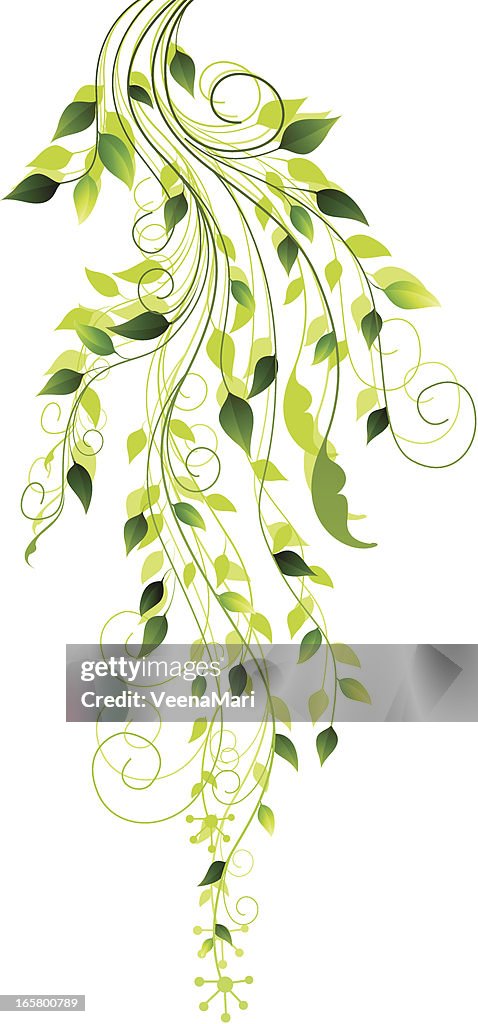Spring Interesting Designs Spring Design High-Res Vector Graphic - Getty Images