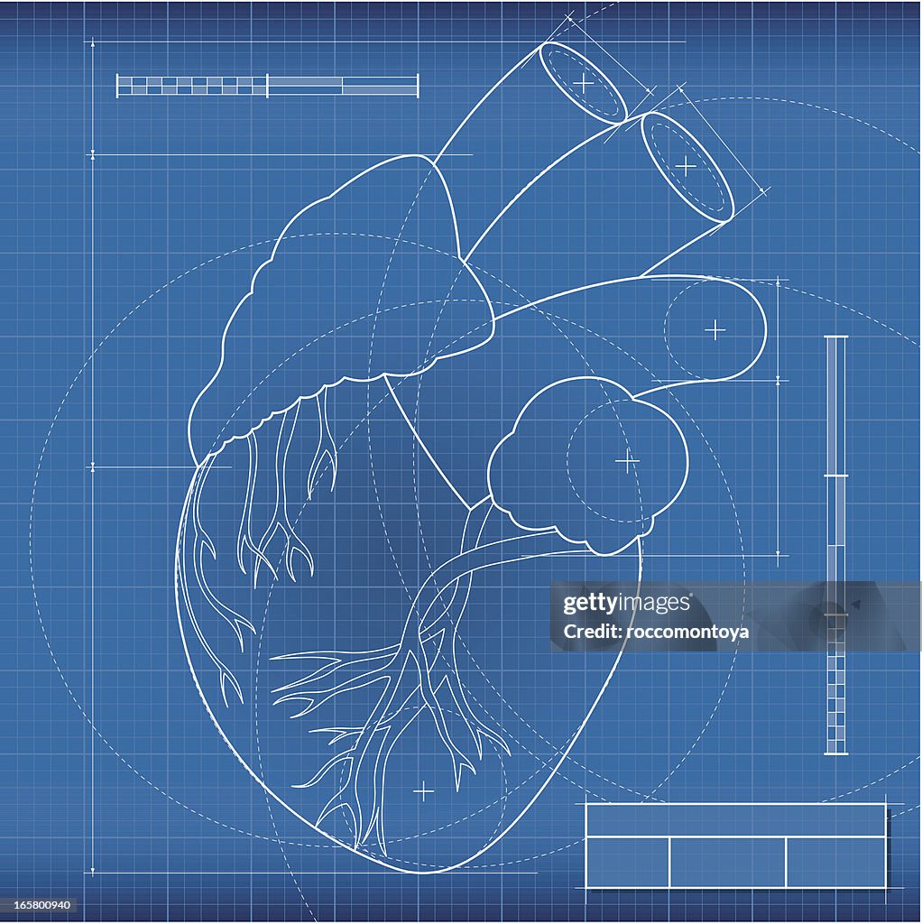 Blueprint, heart