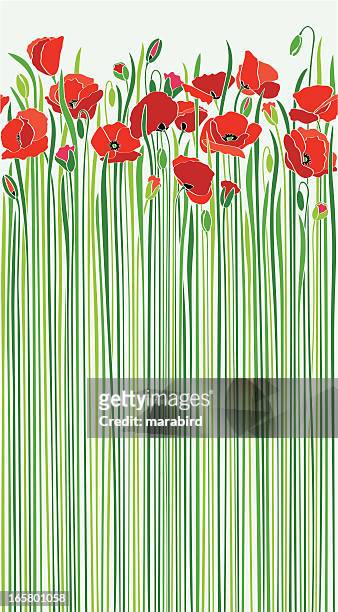 stockillustraties, clipart, cartoons en iconen met field of red poppies by the road in sunny spring - klaproos