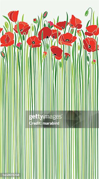 bildbanksillustrationer, clip art samt tecknat material och ikoner med field of red poppies by the road in sunny spring - poppy