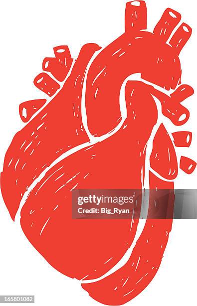 stockillustraties, clipart, cartoons en iconen met sketched human heart - angina