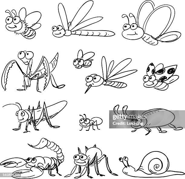 cartoon insect in black and white - cartoon snail stock illustrations