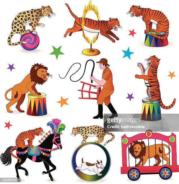 lion tamer circus act - burning ring of fire stock illustrations