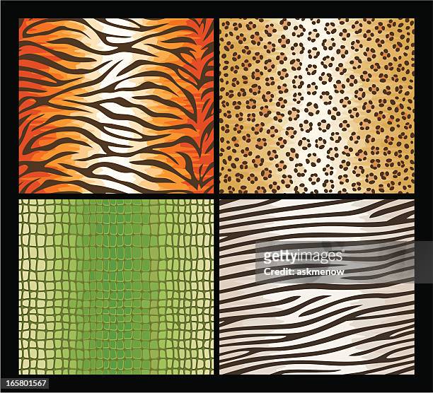 seamless exotic animals skin patterns - cheetah zebras stock illustrations