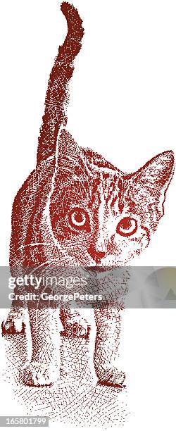 bildbanksillustrationer, clip art samt tecknat material och ikoner med hungry kitten - spräcklig katt