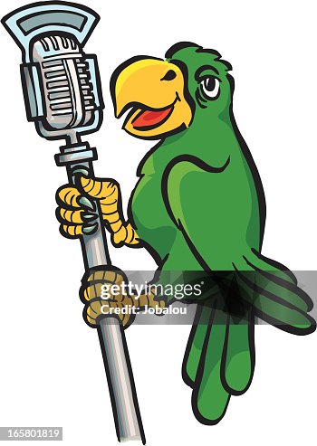 Talkative Parrot Talkative Parrot