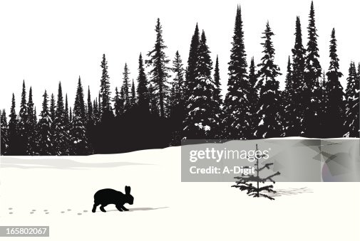 Snow Rabbit Vector Silhouette Snow Rabbit Vector Silhouette