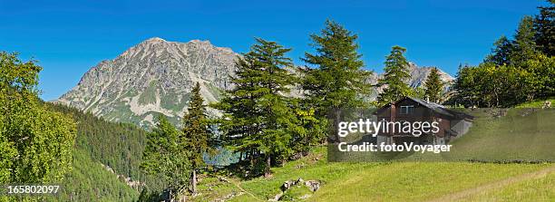 picturesque alpine chalet summer mountain meadow panorama - alpine chalet stock pictures, royalty-free photos & images