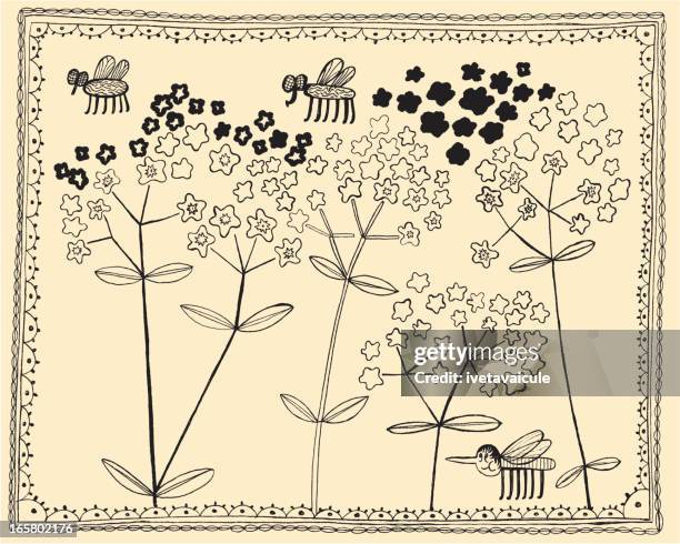 framed forget-me-not - forget me not stock illustrations