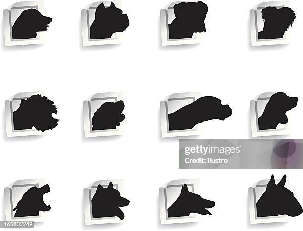 dog sticker - american staffordshire terrier stock illustrations