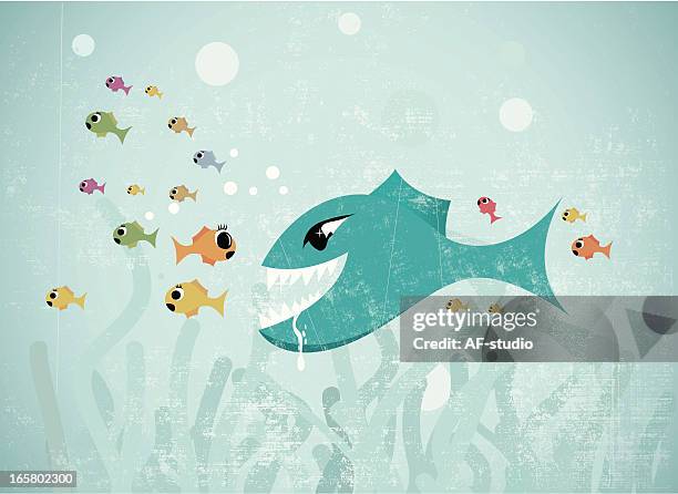 Ilustraciones, imágenes clip art, dibujos animados e iconos de stock de Big Fish Little Fish Swimming In The Water - Getty Images Ilustraciones, imágenes clip art, dibujos animados e iconos de stock de Big Fish Little Fish Swimming In The Water - Getty Images