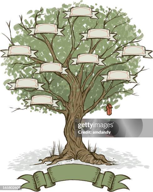 bildbanksillustrationer, clip art samt tecknat material och ikoner med your own family tree - släktträd