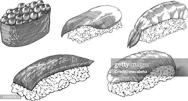 sushi - raw shrimp stock illustrations