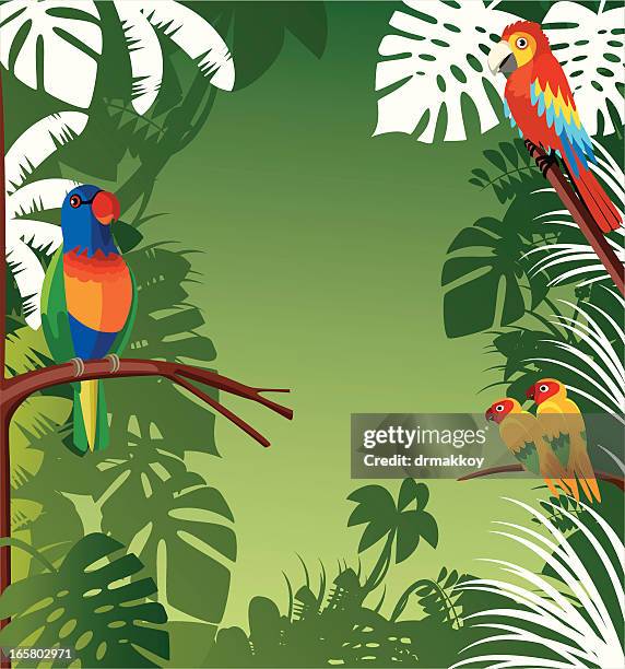 stockillustraties, clipart, cartoons en iconen met tropical background - australian animals illustration