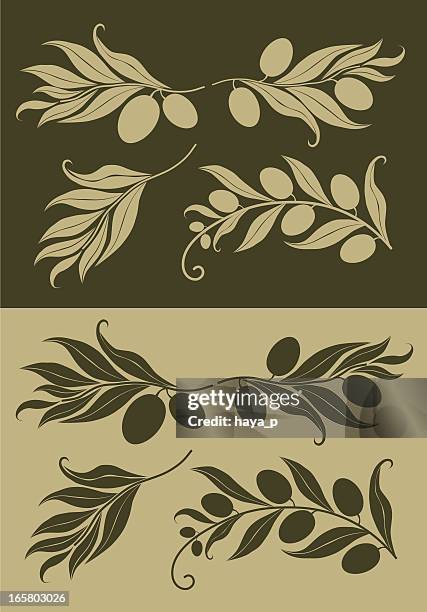 olive branch  silhouette on background - olive leaf stock illustrations