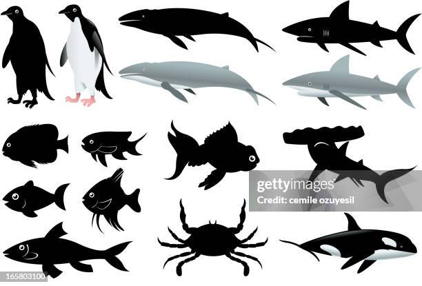 sea creatures collection - black gold fish stock illustrations