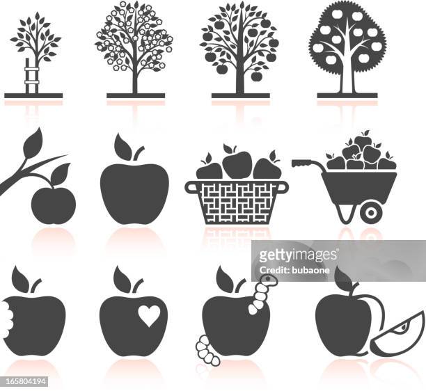 apple baum wächst und biologischen landwirtschaft schwarz & weiße symbole - basket icon stock-grafiken, -clipart, -cartoons und -symbole