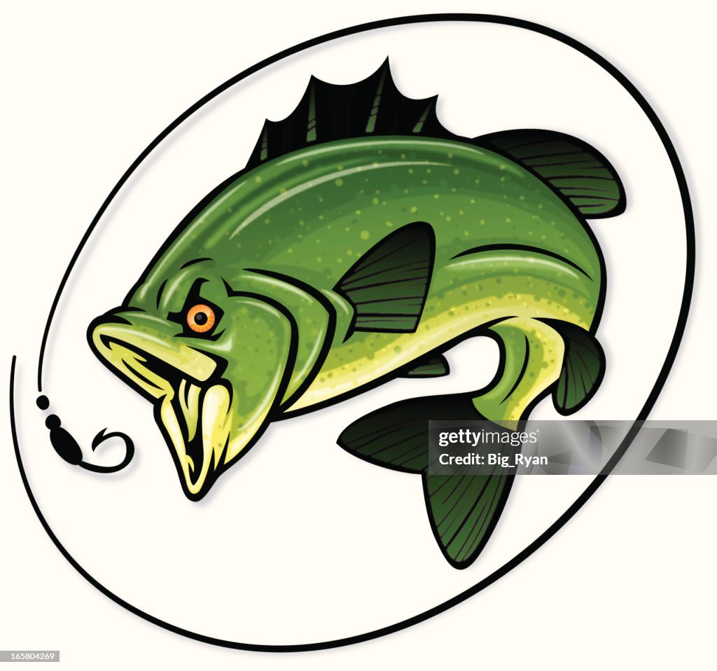 Detailed bass illustration