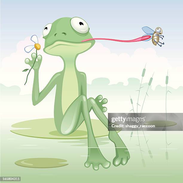 Frog Eats Bird frog-eats-bird