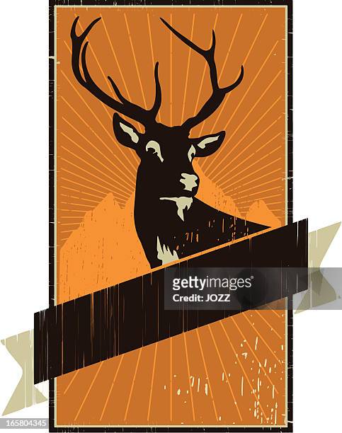deer frame - deer stock illustrations
