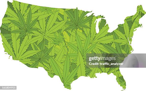 united states made of marijuana - rastafarian stock illustrations