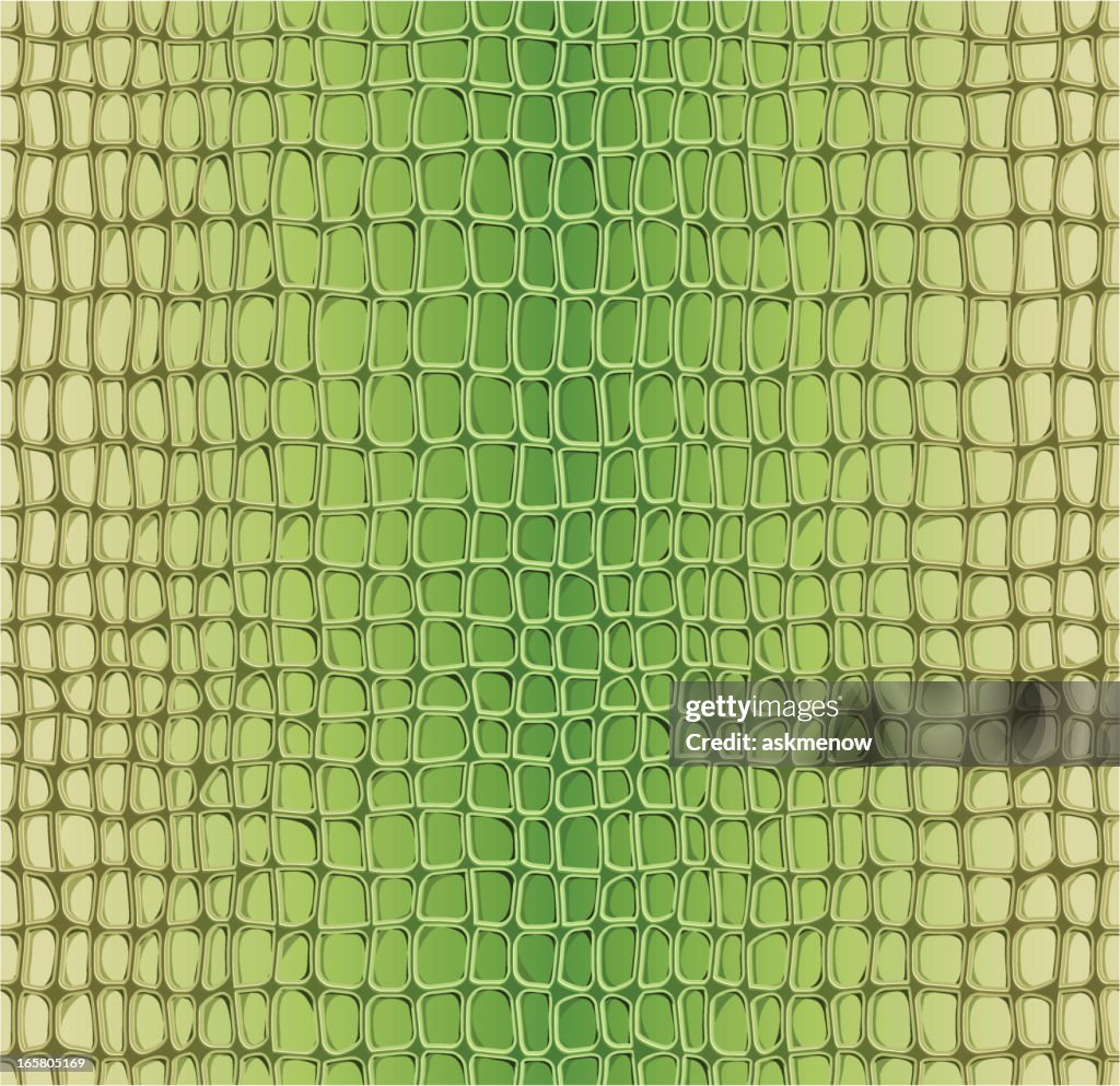 Alligator seamless pattern