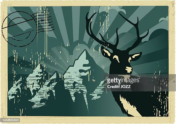 red deer vintage postcard - postcard stock illustrations