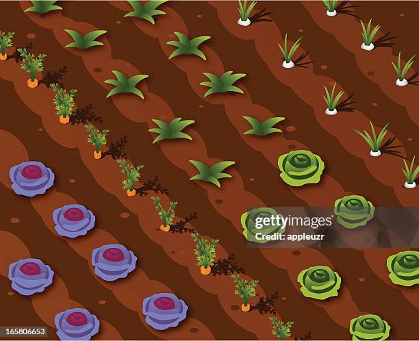 vegetable garden - vegetable patch stock illustrations