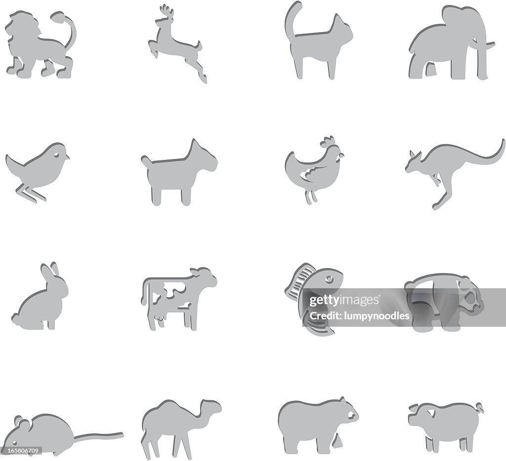 Animal Sign Pattern Animal Imprint Symbols High-Res Vector Graphic - Getty Images