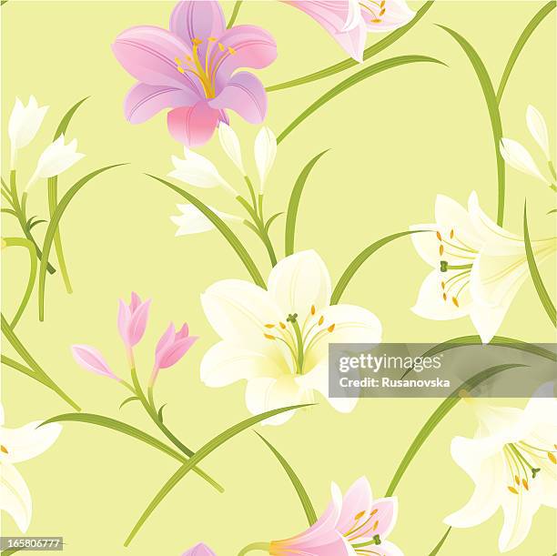 pink and white lilies pattern - easter lily stock illustrations